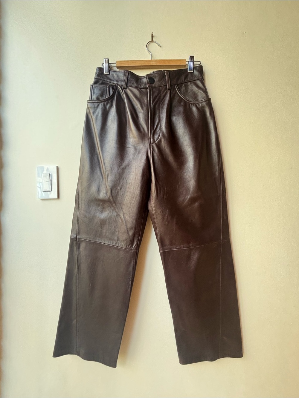 Zara Women’s Dark Brown Leather Pants
